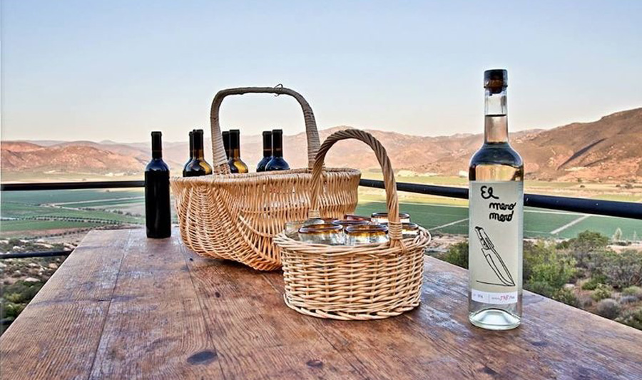 Diseño editorial del libro para entrenadores de la Federación Catalana de Fútbol